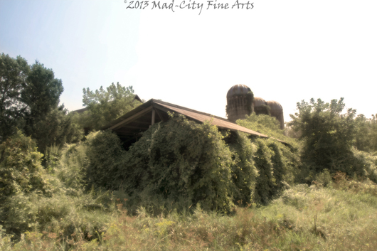 A barn near Portage, WI is taken back by nature.