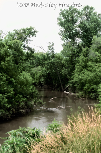 The Pecatonica river near Darlington, WI.